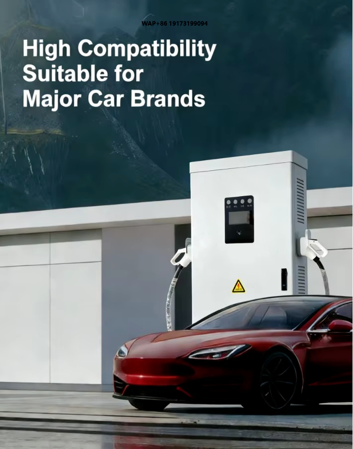 New Energy Vehicle (NEV) Charg - đánh giá và giá Ev Charging Pile